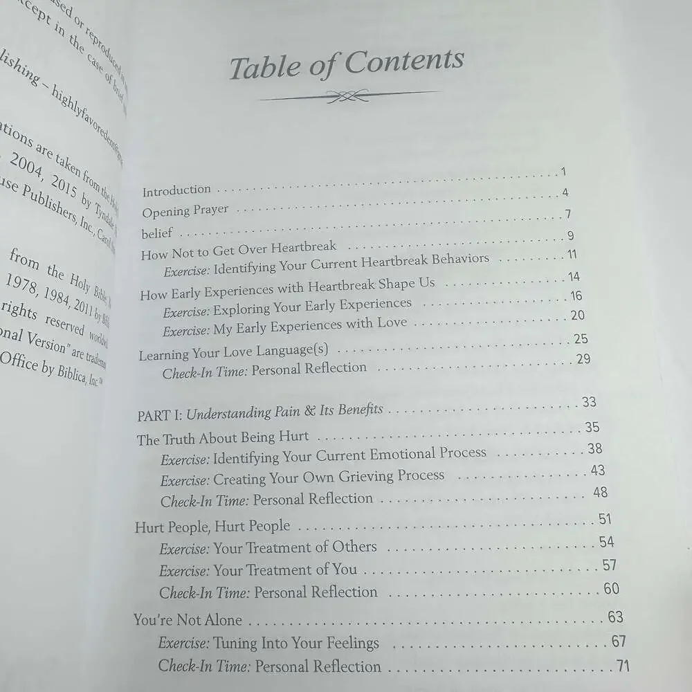 Healing Heartbreak Journal by Stephan Speaks